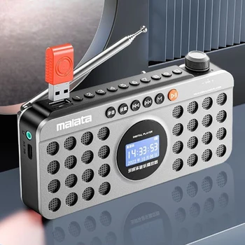 Portátil de Radio FM 70-108Mhz Receptor de Radio Mini Altavoz Bluetooth Grabadora con Pantalla LED de la Batería Recargable TF USB Play